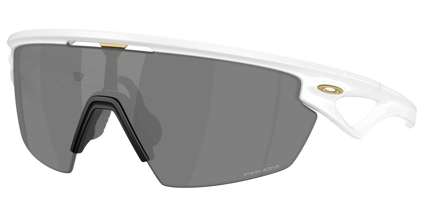 Sphaera Prizm Black Sunglasses