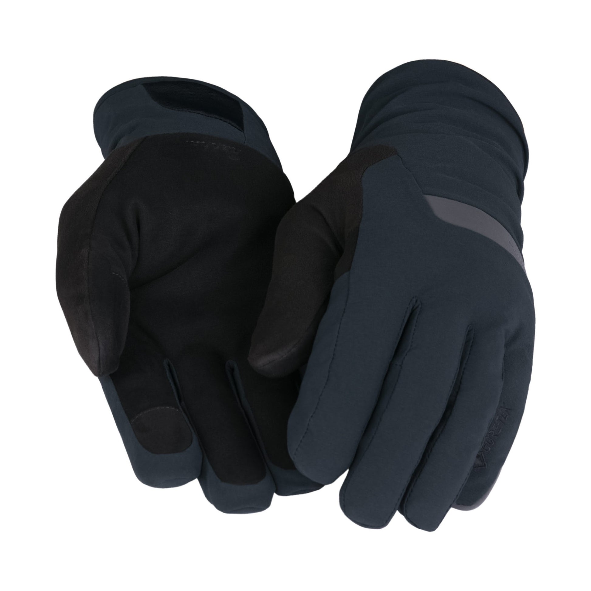 Gore-Tex Insulated Waterproof Gloves